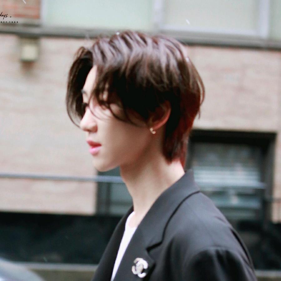 苹果树开果果了