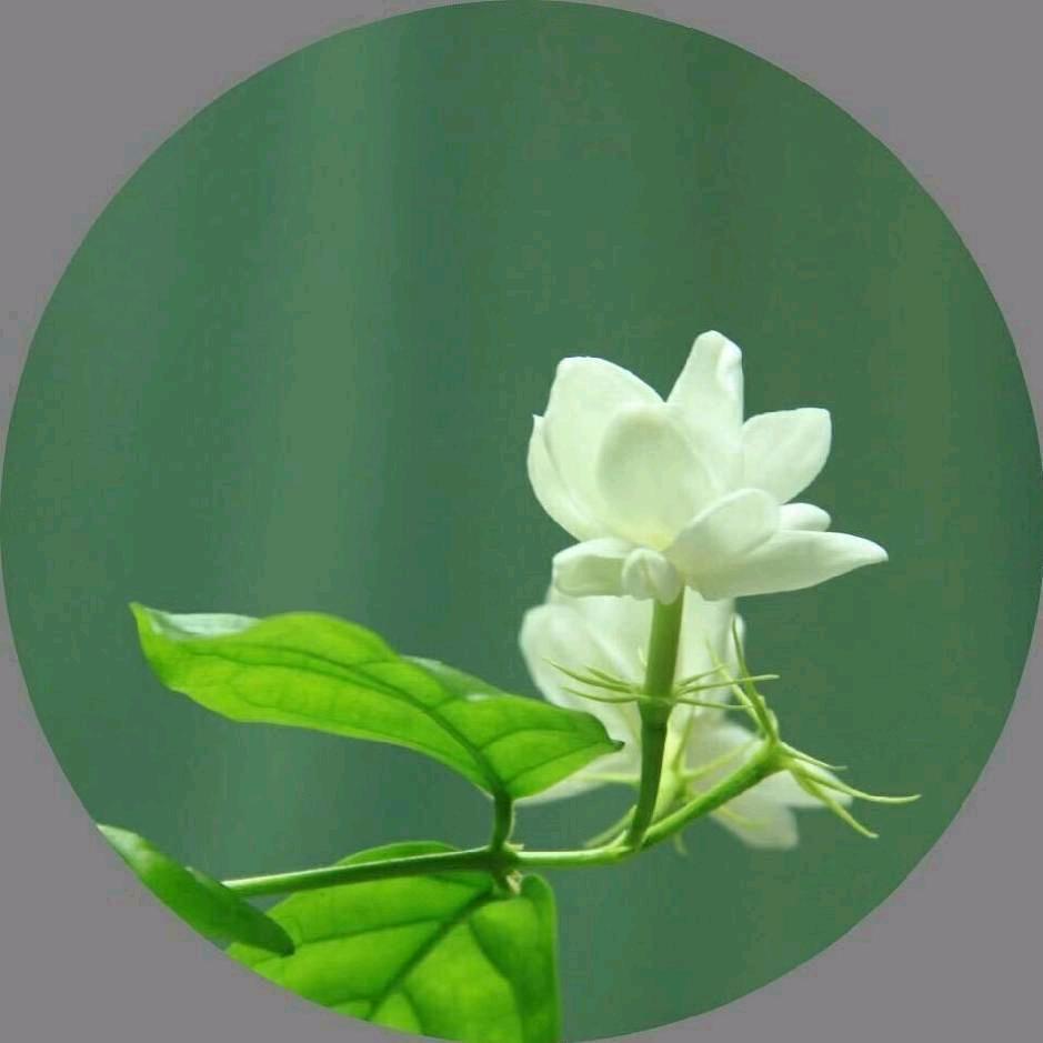 冰山一角