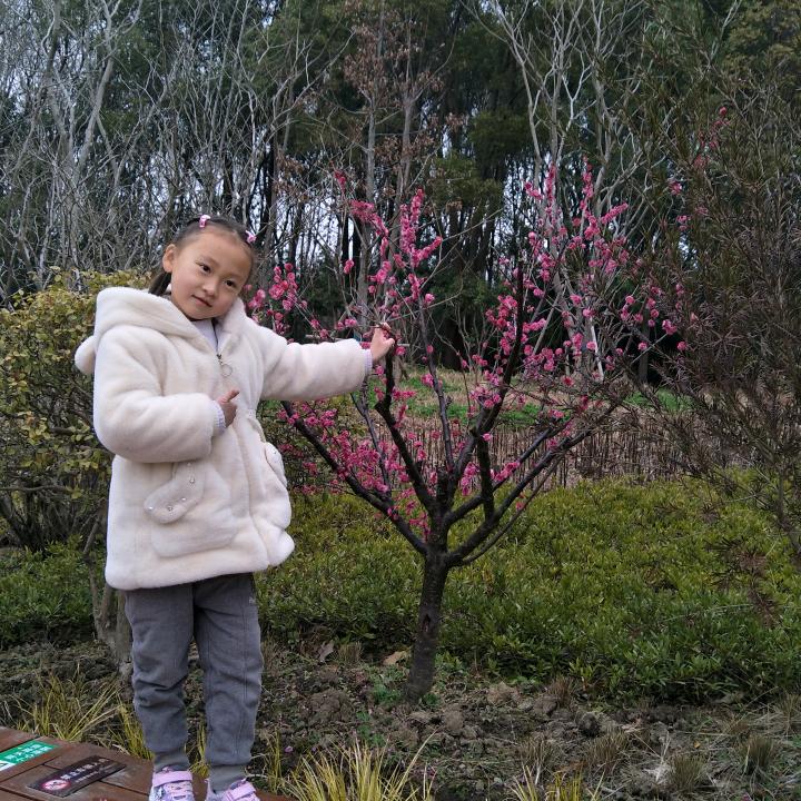 艾芹