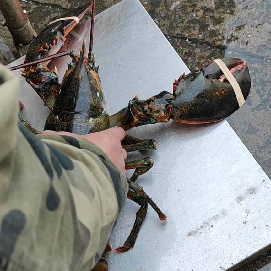 顶级海鲜市区云龙湖附近专送