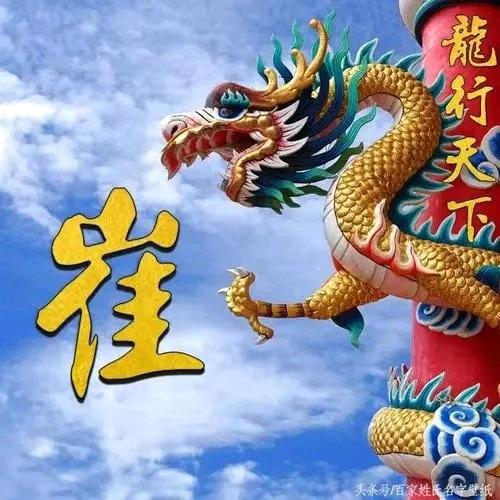 亮哥开后八轮