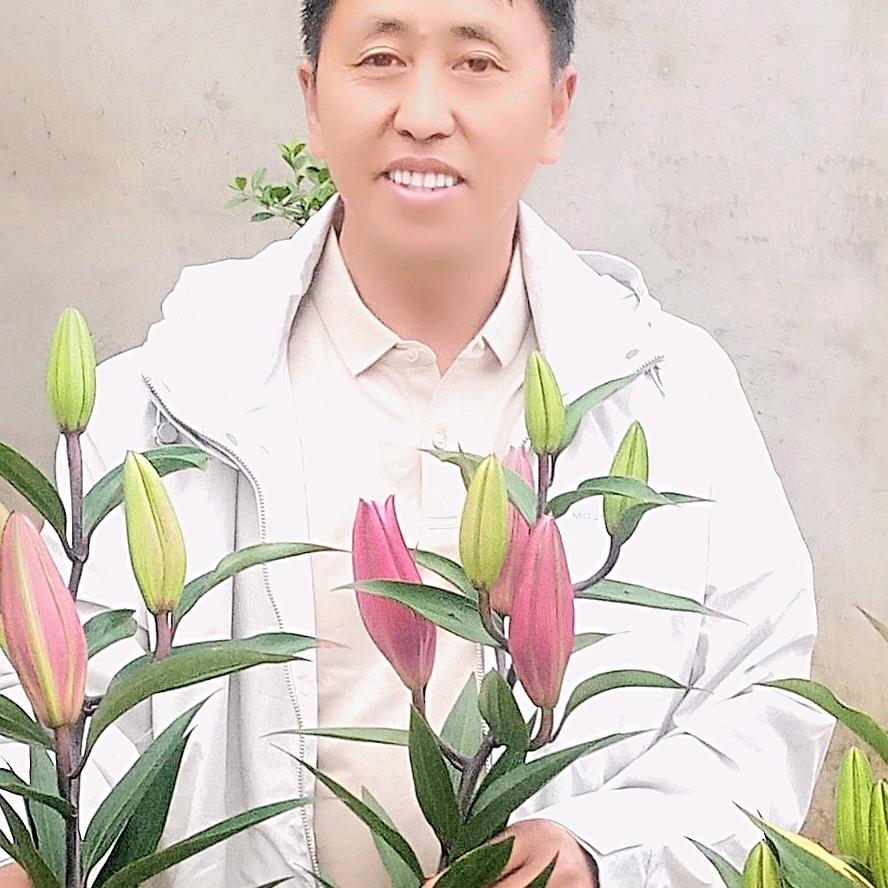 卫瑶花卉