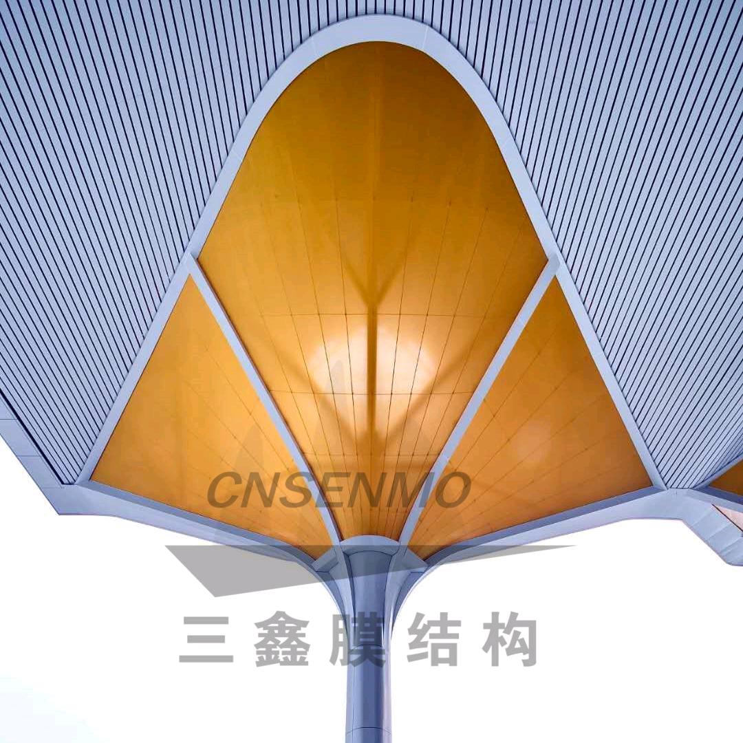品牌成就未来