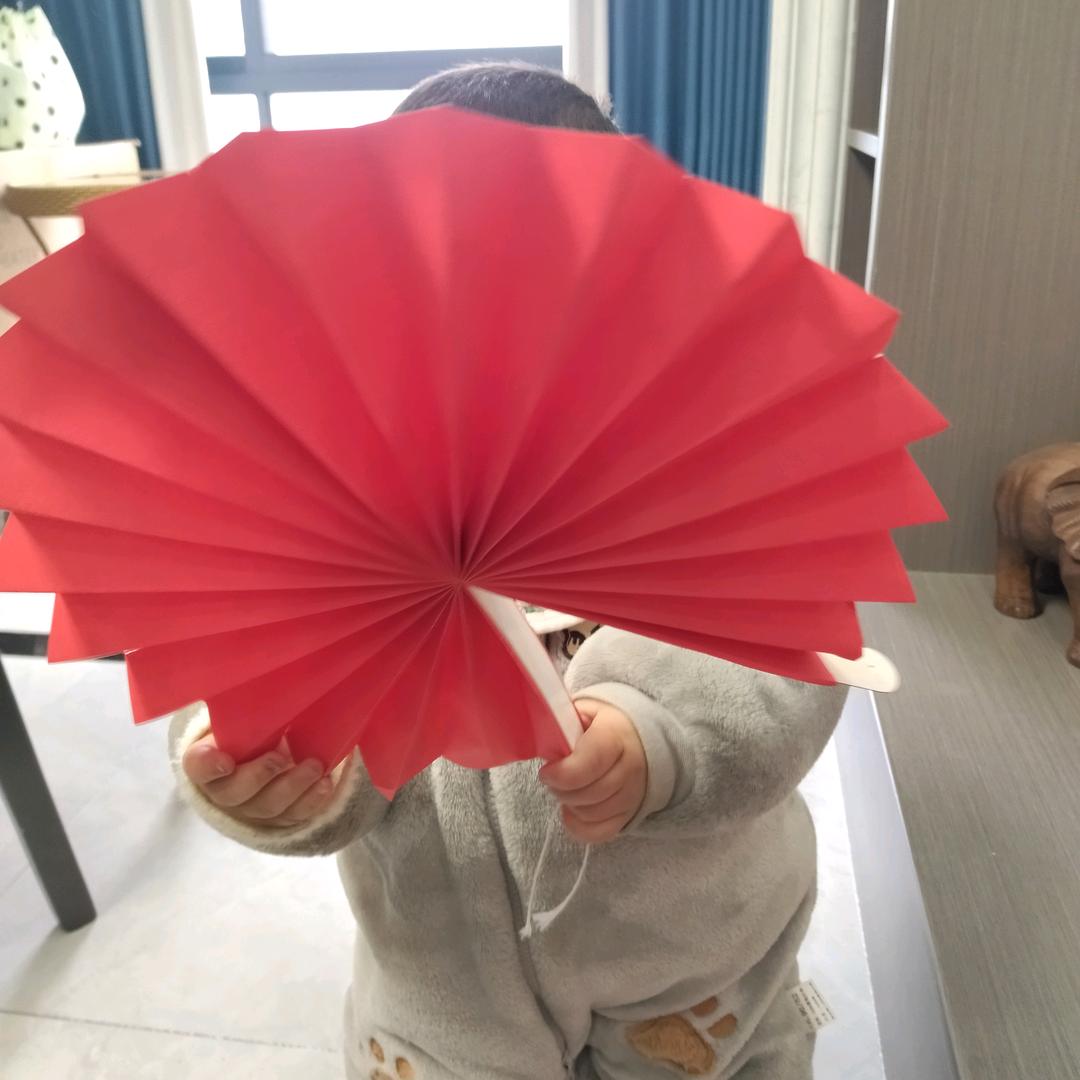 君子兰7