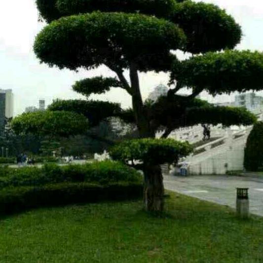 前方任我行