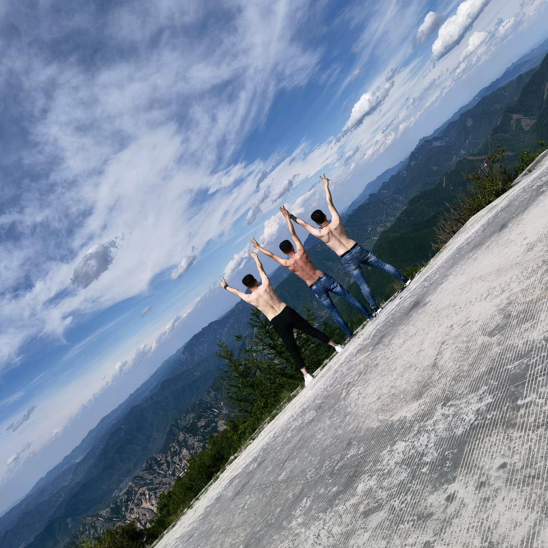 东北大洲苗木种植合作社