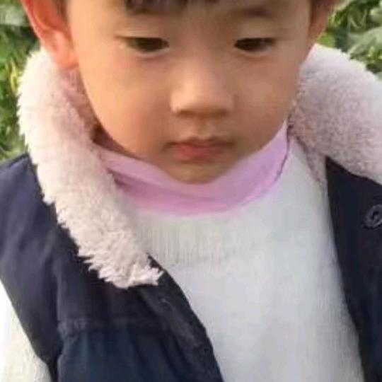 歌是个传说
