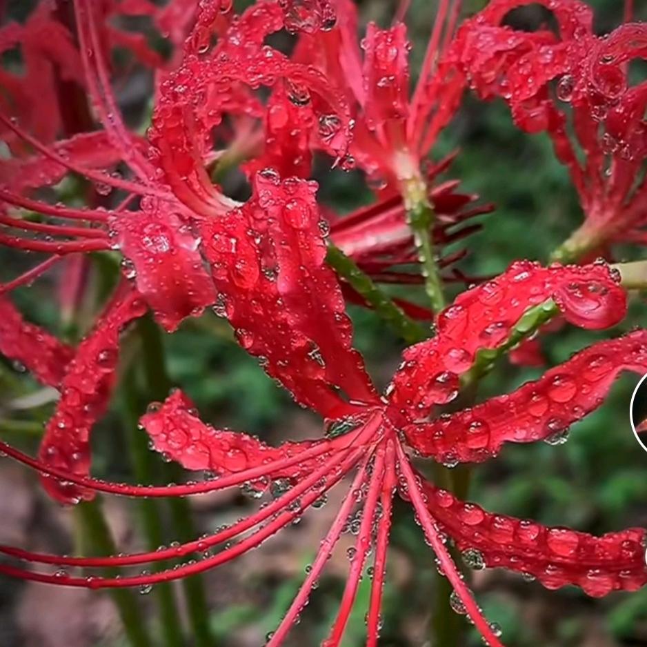 💕ᥫᦸᐝ暮໊ꫛ࿐