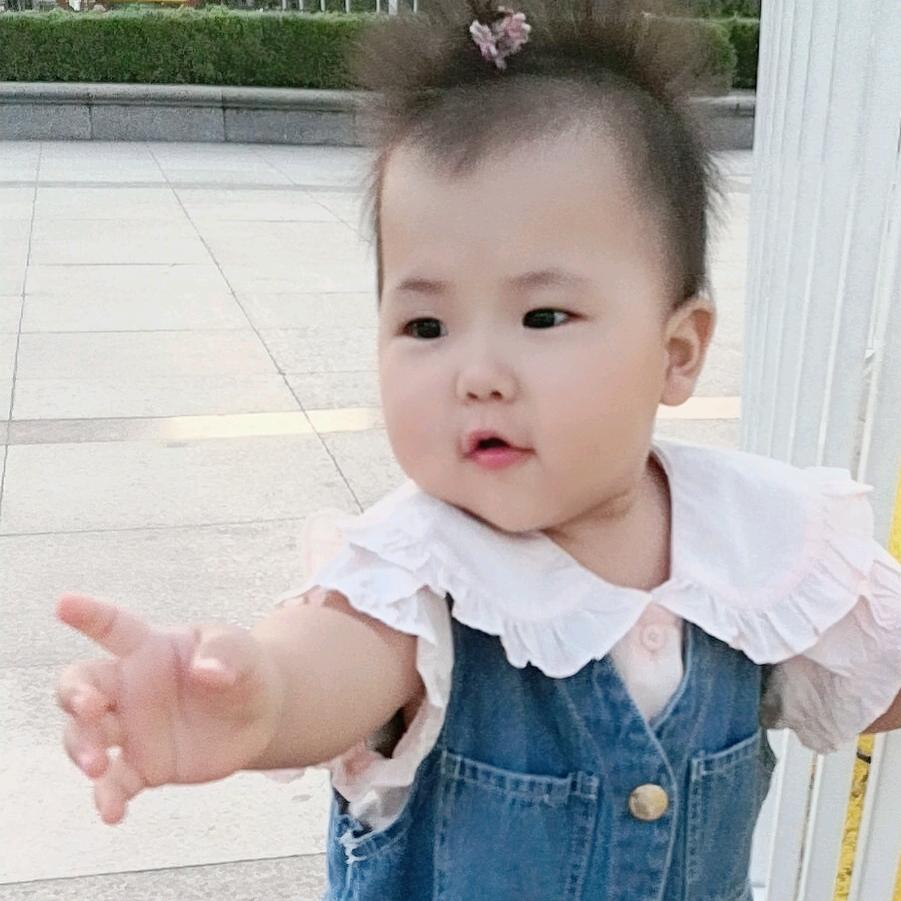 调皮宝
