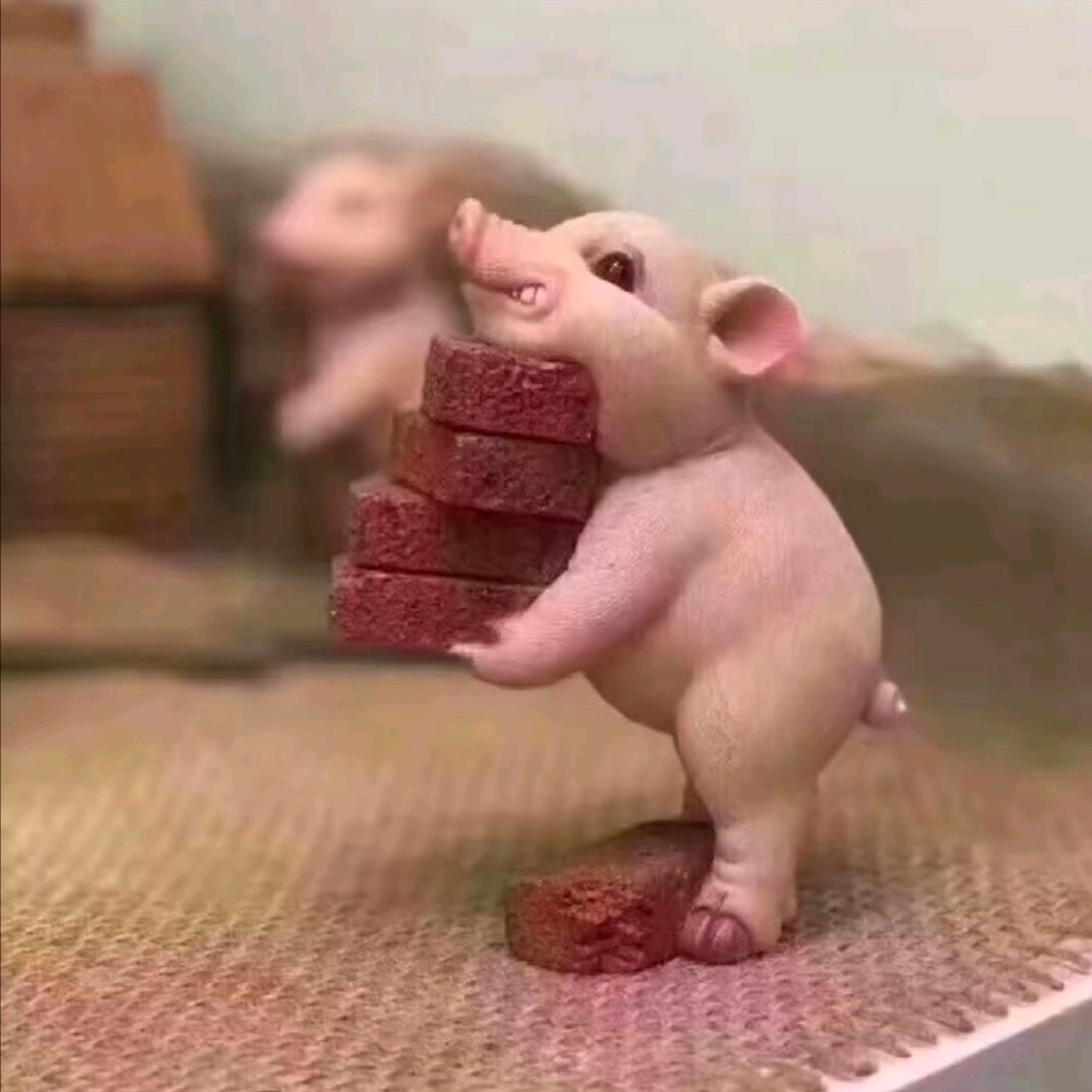 ²⁰²⁵菏泽一家💞