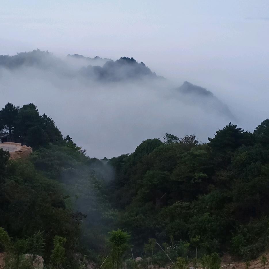 沉默