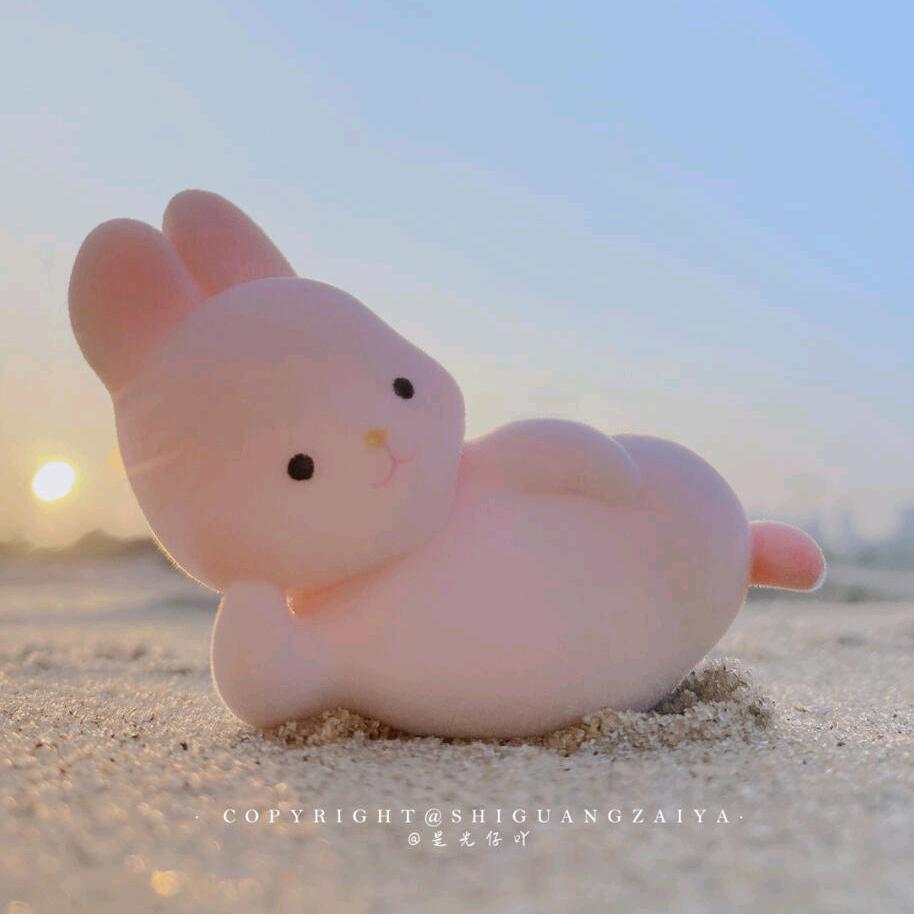 大蕾蕾