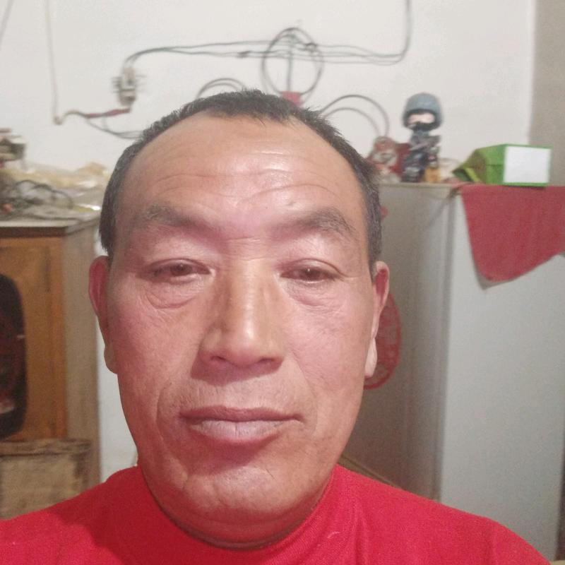 鲁泰