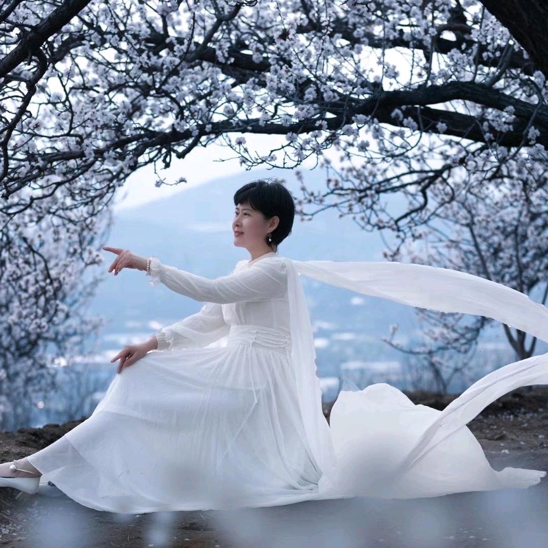 淡墨人生