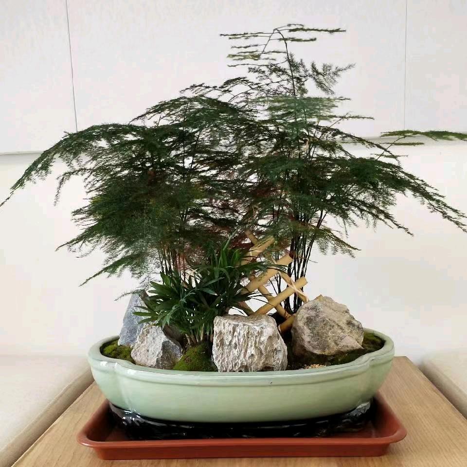 浪子