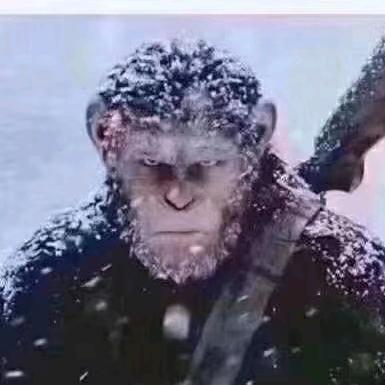 ✨((骄⥎阳))✨  　　　  　　　༽