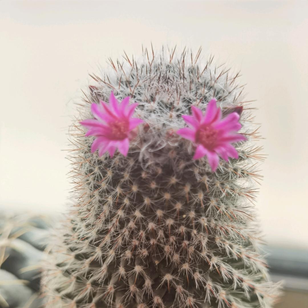 未来可能就在眼前