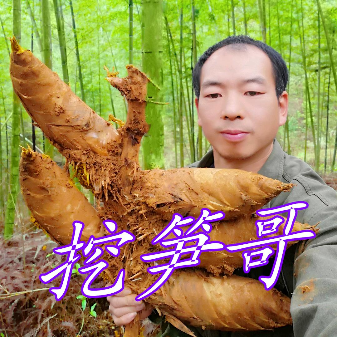 挖笋哥