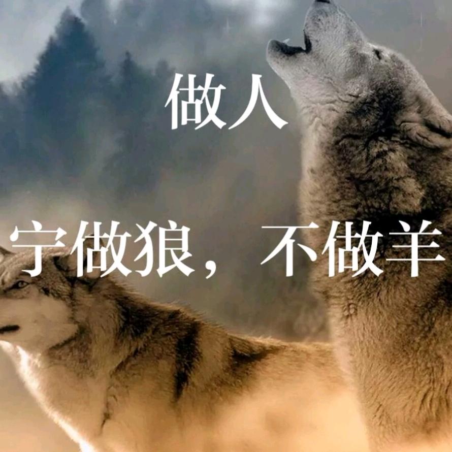 《往后余生》