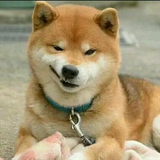 我睡觉不困