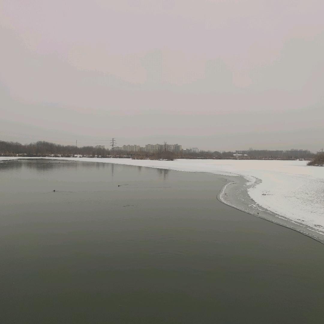 挽起袖子加油干