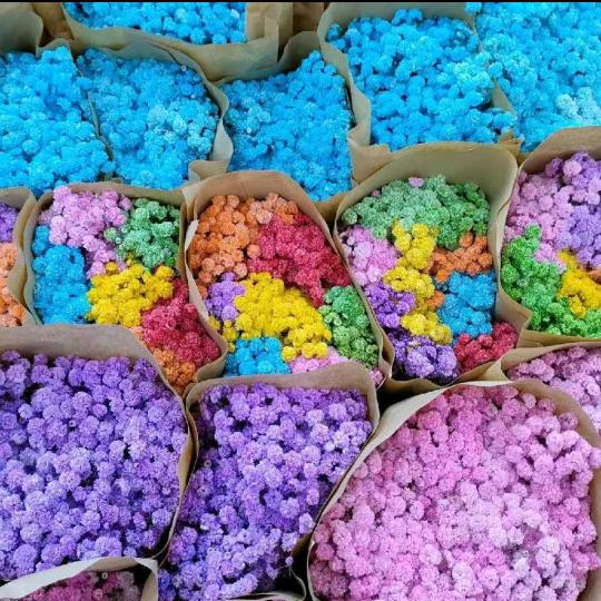 🦋ꦿ໊余生᭄🕊随心᭄ꦿᩚ٭