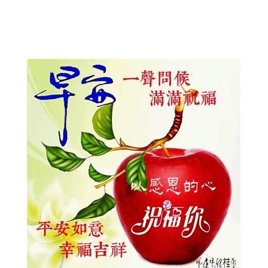 用户9783737392025