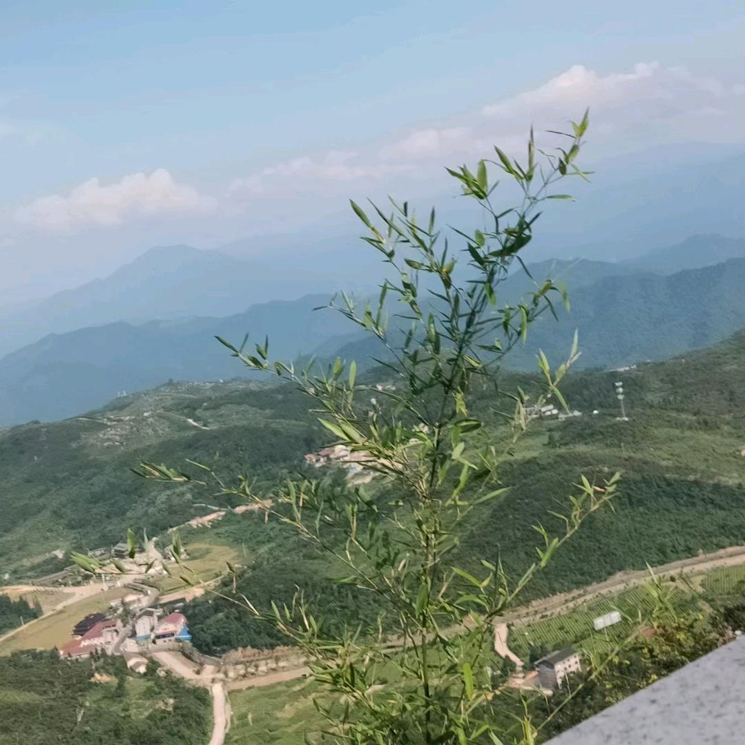 徐可证