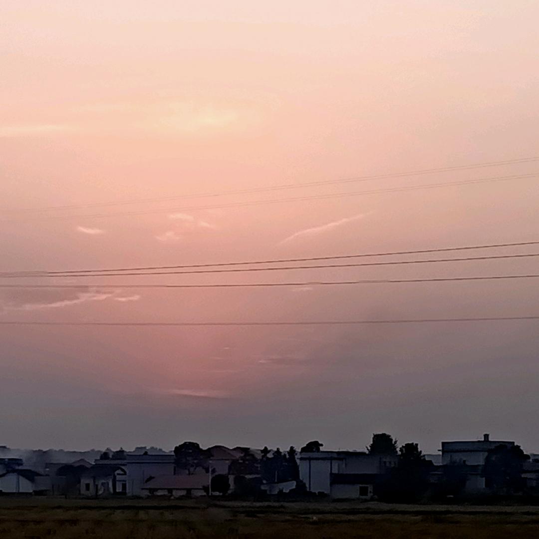排行老三