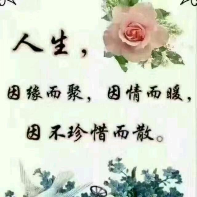 Miss饶