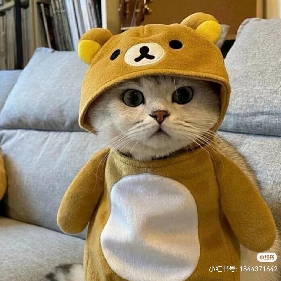 快乐番薯