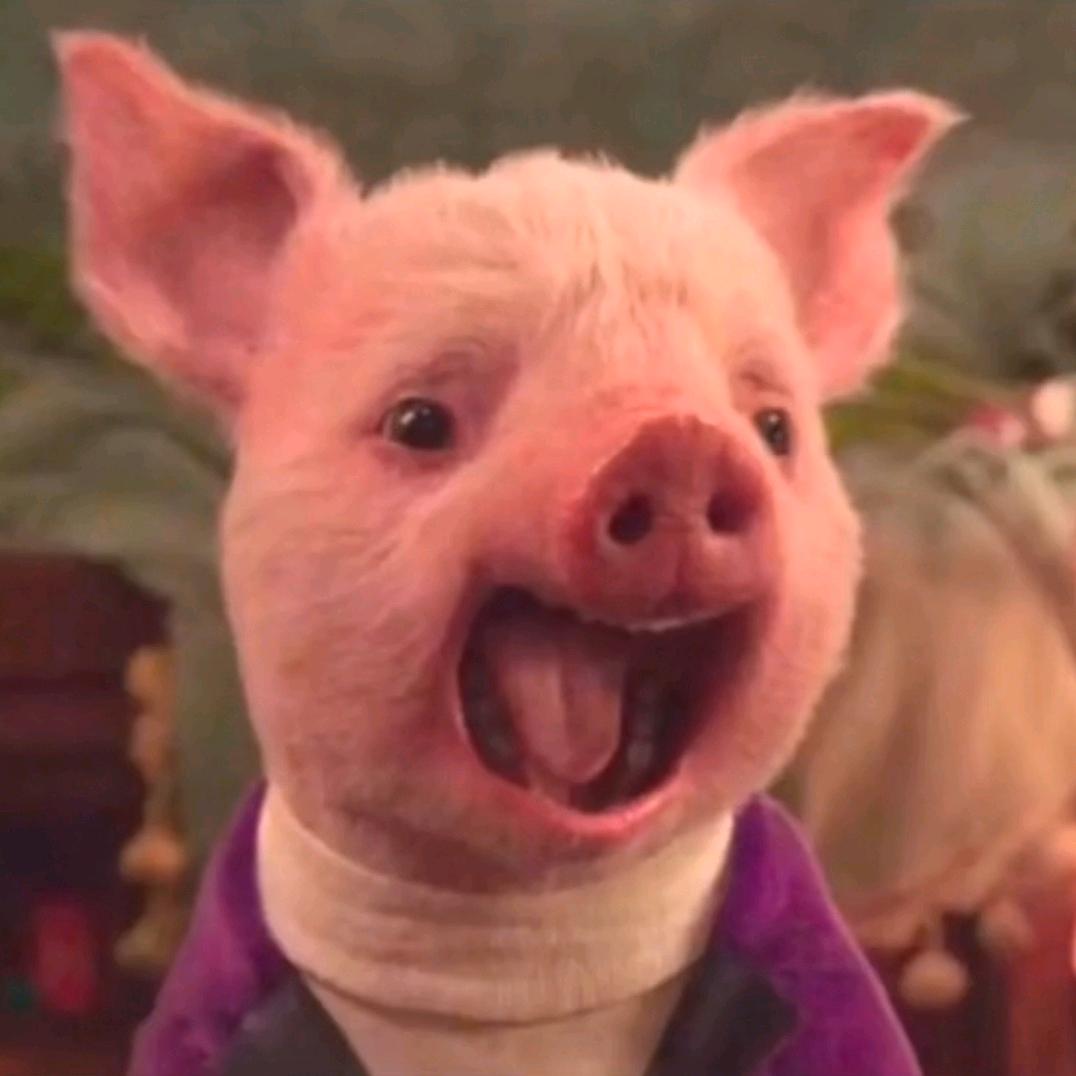 🌻章鱼小丸子丶