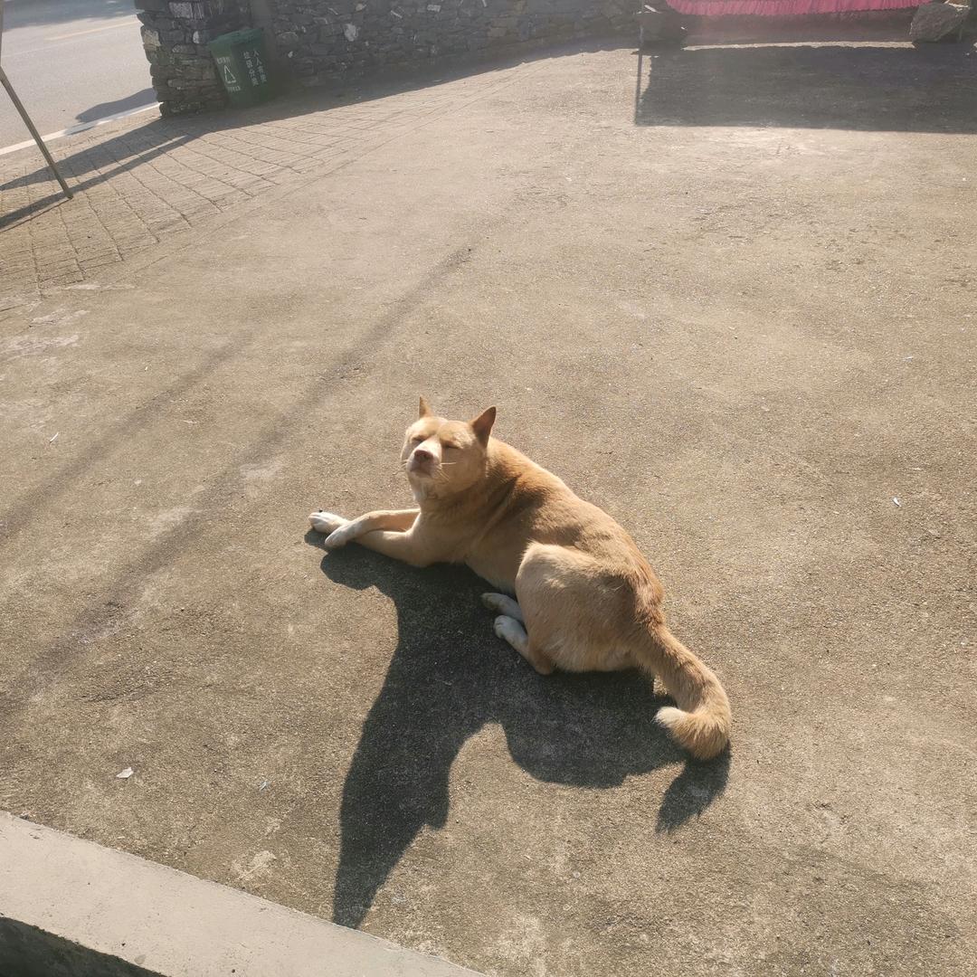 名字不能重复