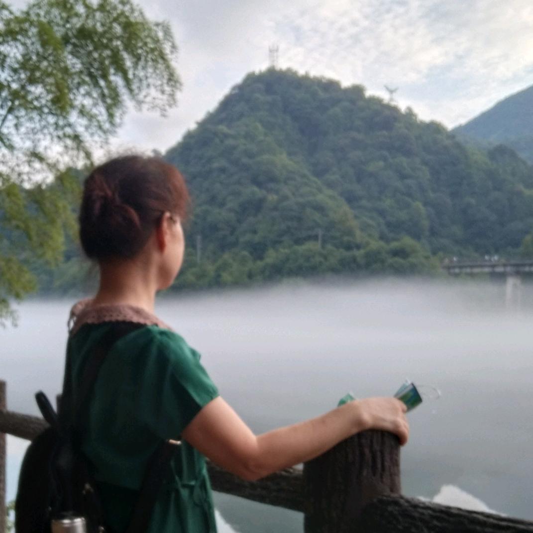 龙之弦舞（高）