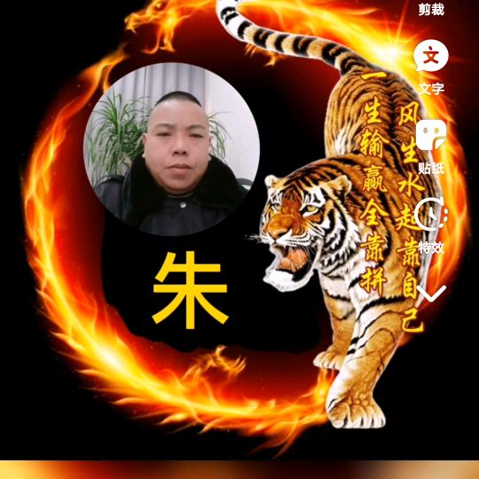 会飞的狼