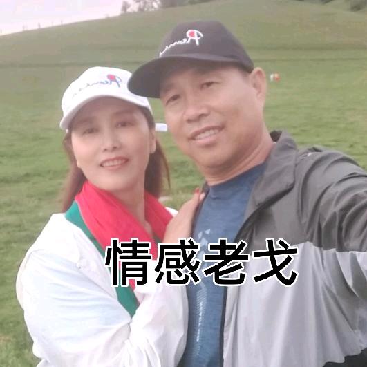 情感老戈