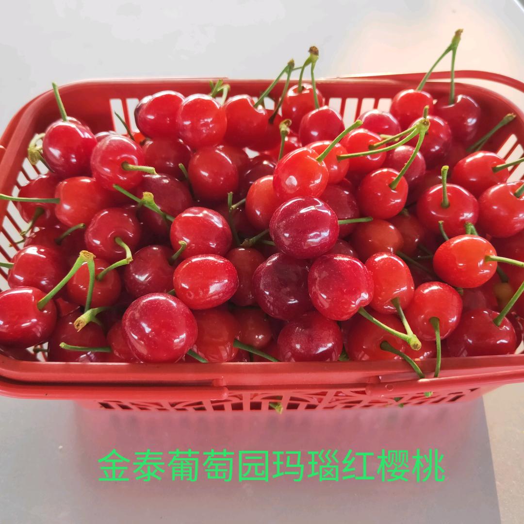 资中县金泰葡萄园官方号