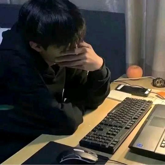 踏雾小白.