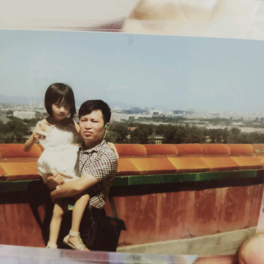 邹峰牡丹苗批发零售