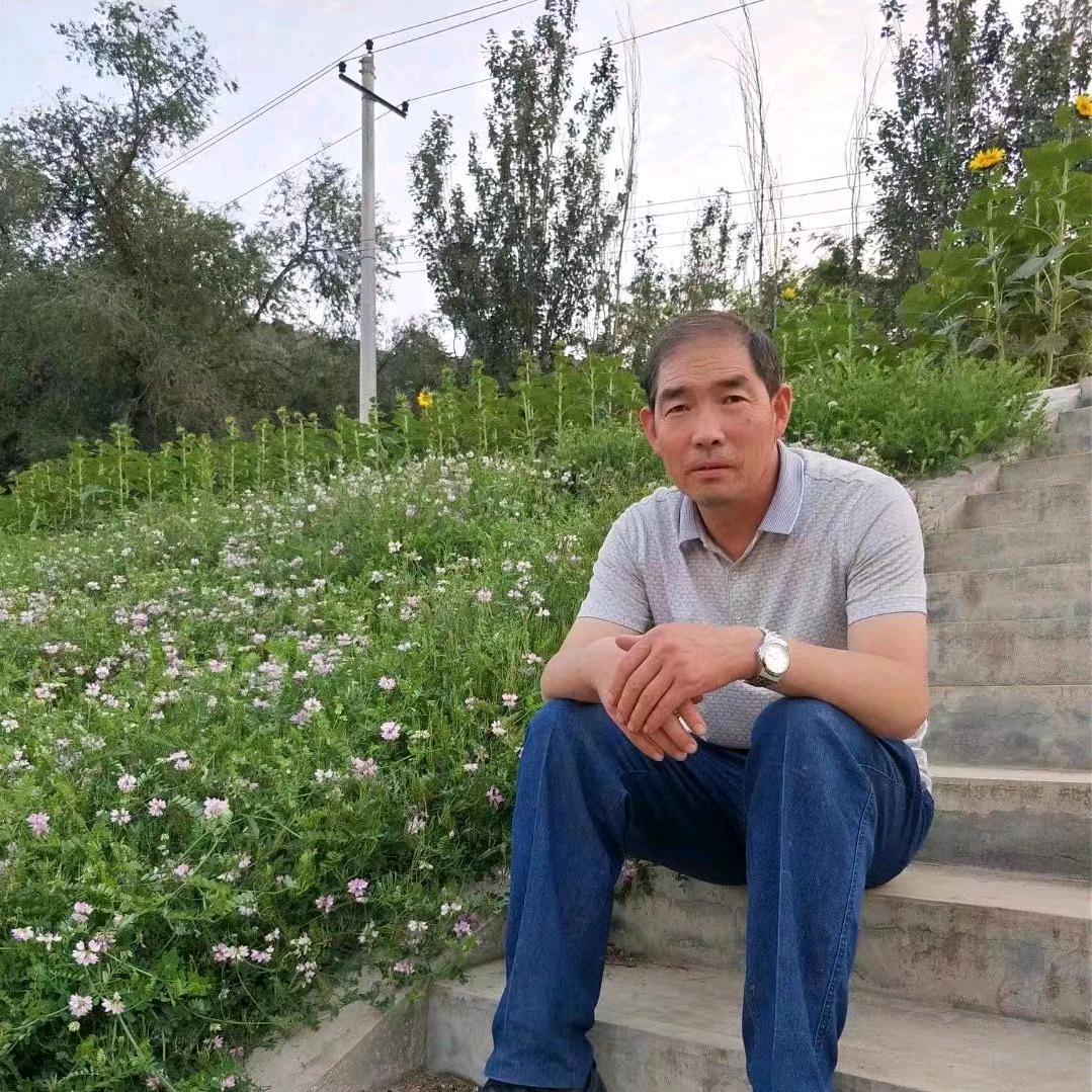 阳光，韦