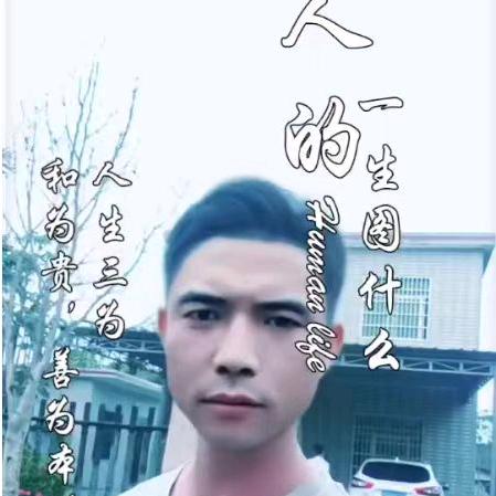 骏马飞扬