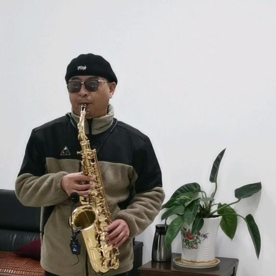 囍哥哥 萨克斯