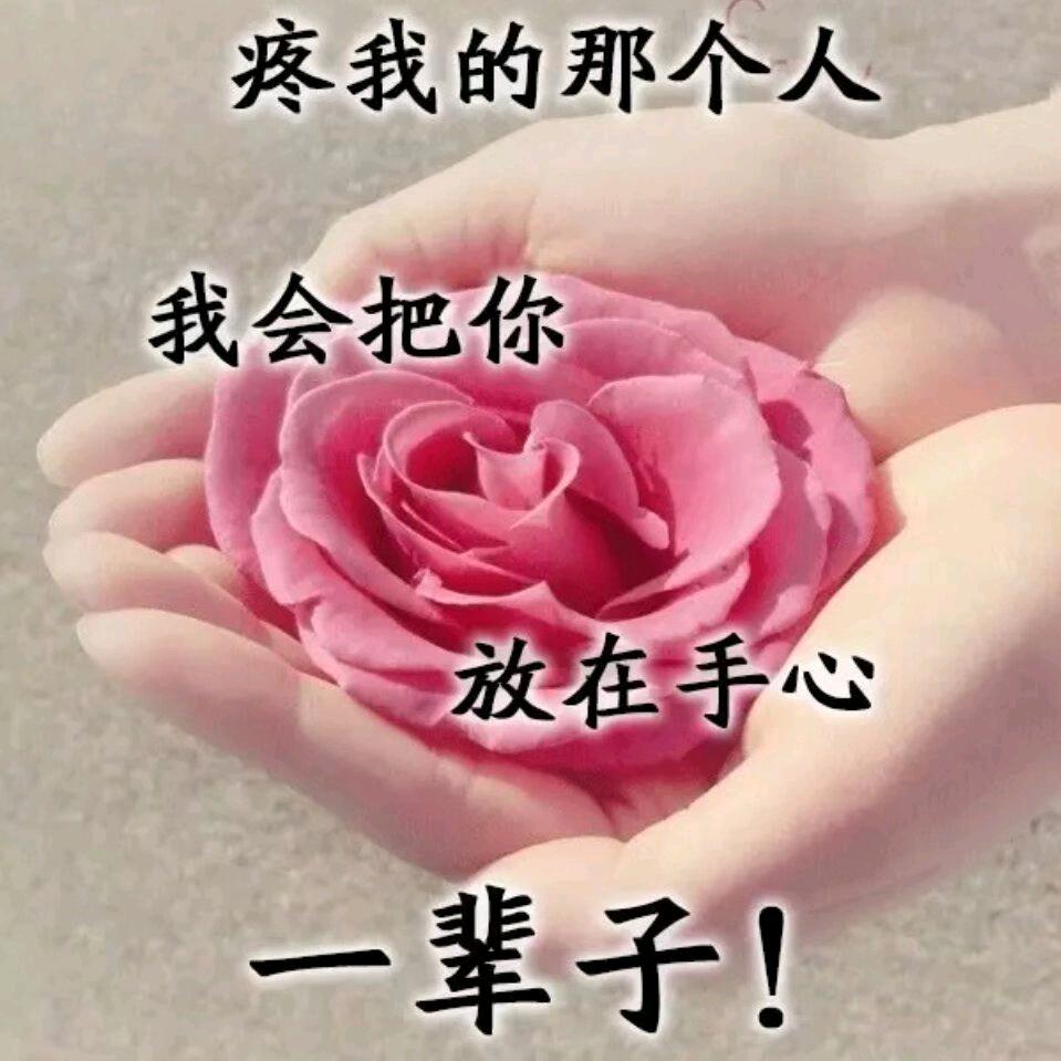 人生如梦幸福丰顺