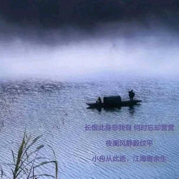 戈壁八哥