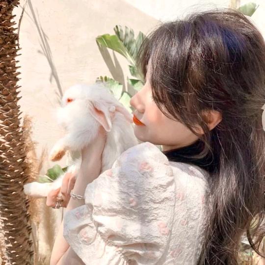 芬芳的花朵