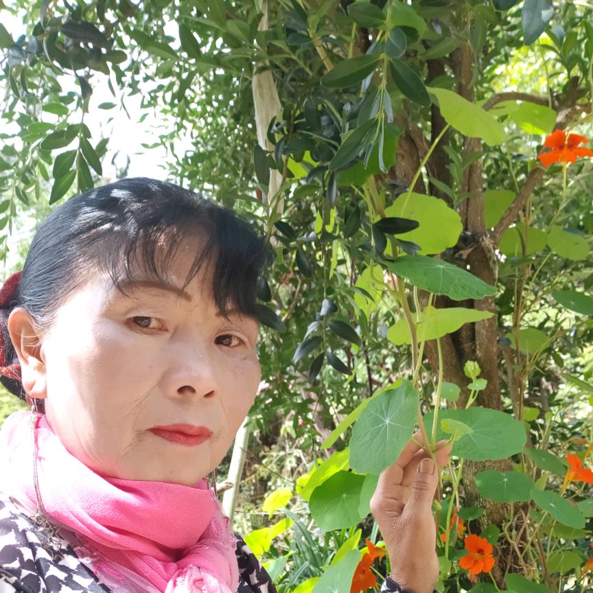 幸福花开(隆阳电商)