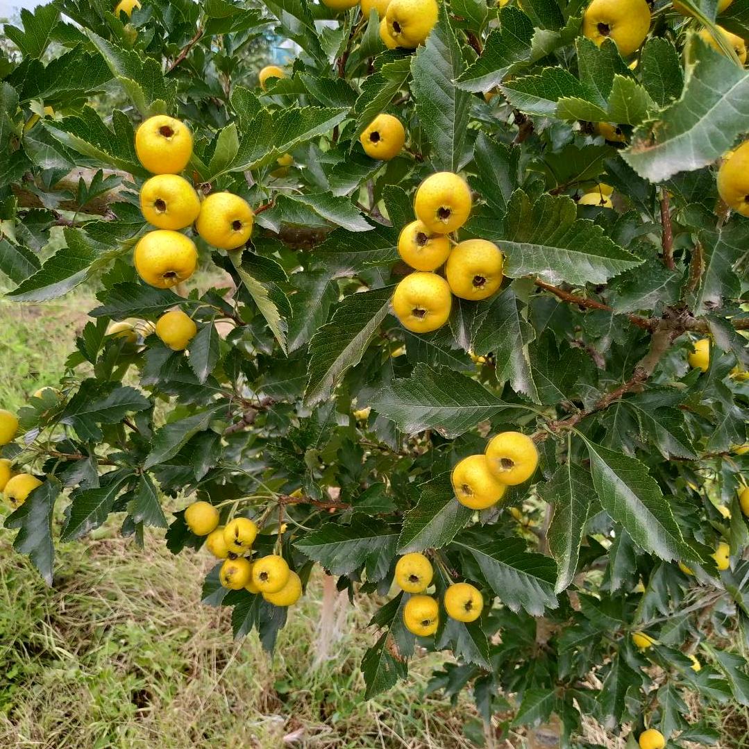 成功留给耐心人