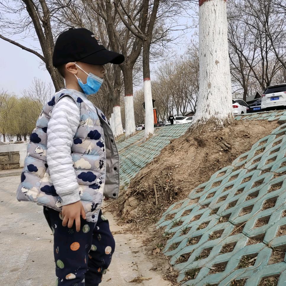 麦芽建筑结构设计