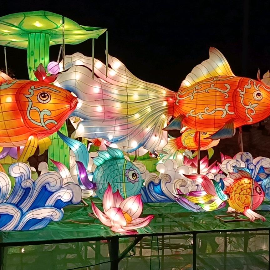 我家的小灿