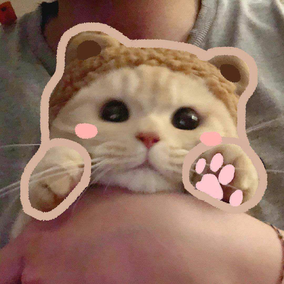 上官沐欣